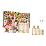로션 120ml + 에멀전 100g + 진한 크림 50g + 박스 + 쇼핑백 + 사각 스카프
