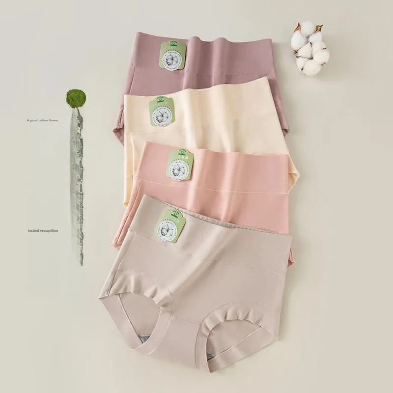 GRACEWELL Underpants Women's 2 Pack-1