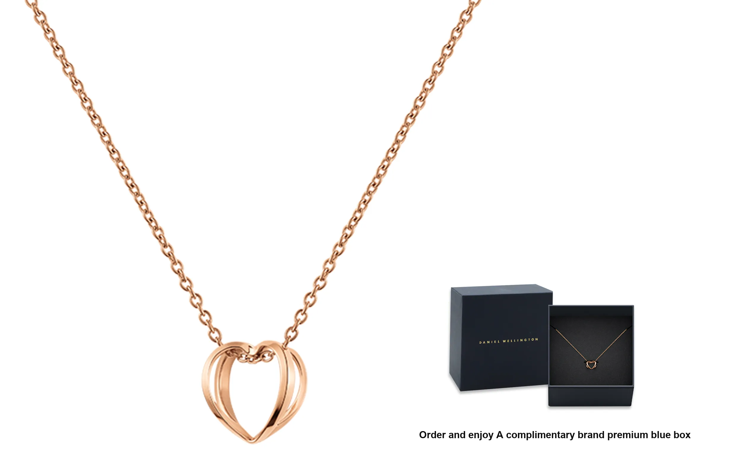 Daniel Wellington Alloy Collarbone Chain Women's