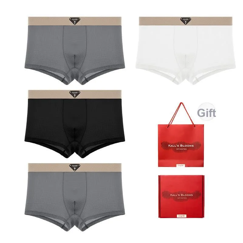 Maiden House Underwear Gift Box Men's 4 Pack-7