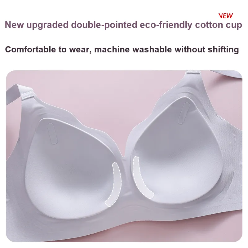 David Women's Bras-2