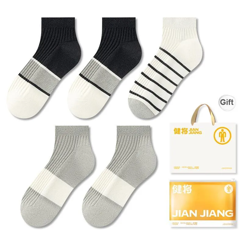 Master Mid Calf Socks Men's Box 5 Pack-8