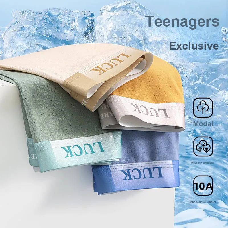 Herbal Primer Underpants Men's 4 Pack-3