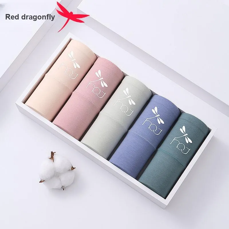 RED DRAGONFLY Cotton Panties Women's Gift Box Set Of 4-1