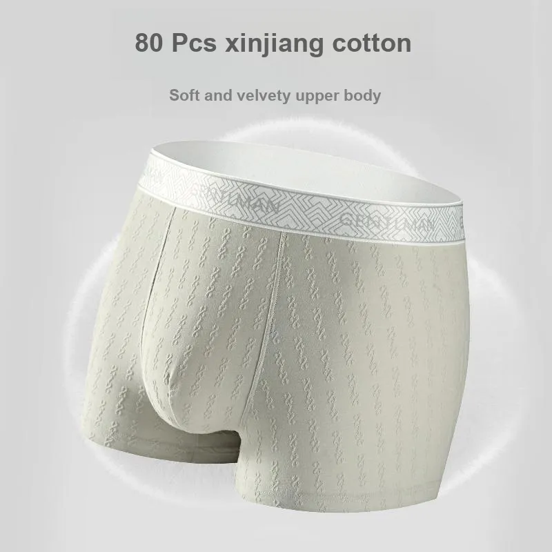 PLANDOO Underpants Men's 2 Pack-21