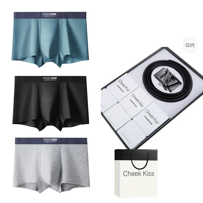 Cheekkiss Underwear Gift Boxes Men's 3 Pack-0