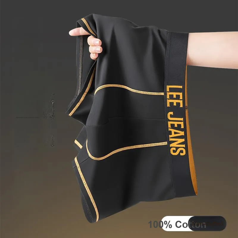 Lee Sunset 1.0 Underwear Gift Box Men's 1 Pack-6