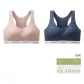 2 Pack[Pastel Pink+Bright Royal Blue]