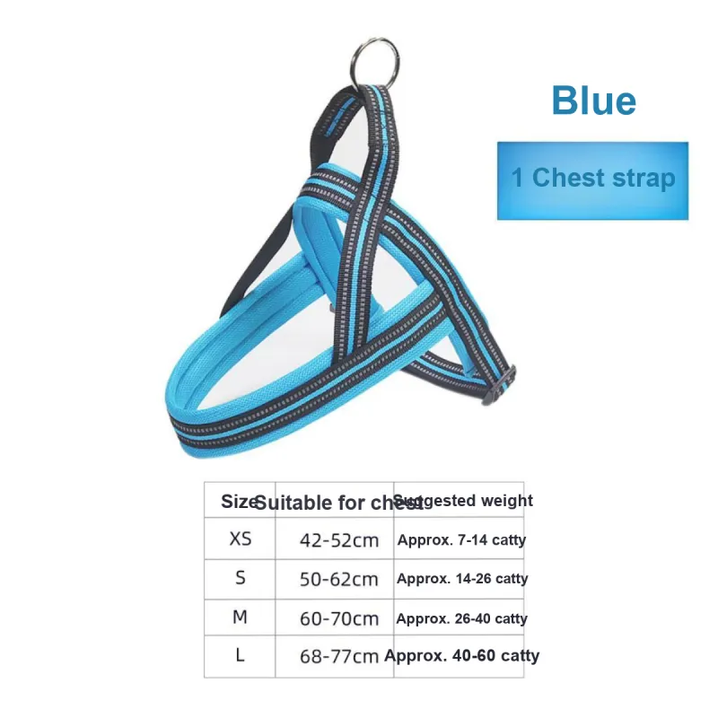Kimpets Leashes-1