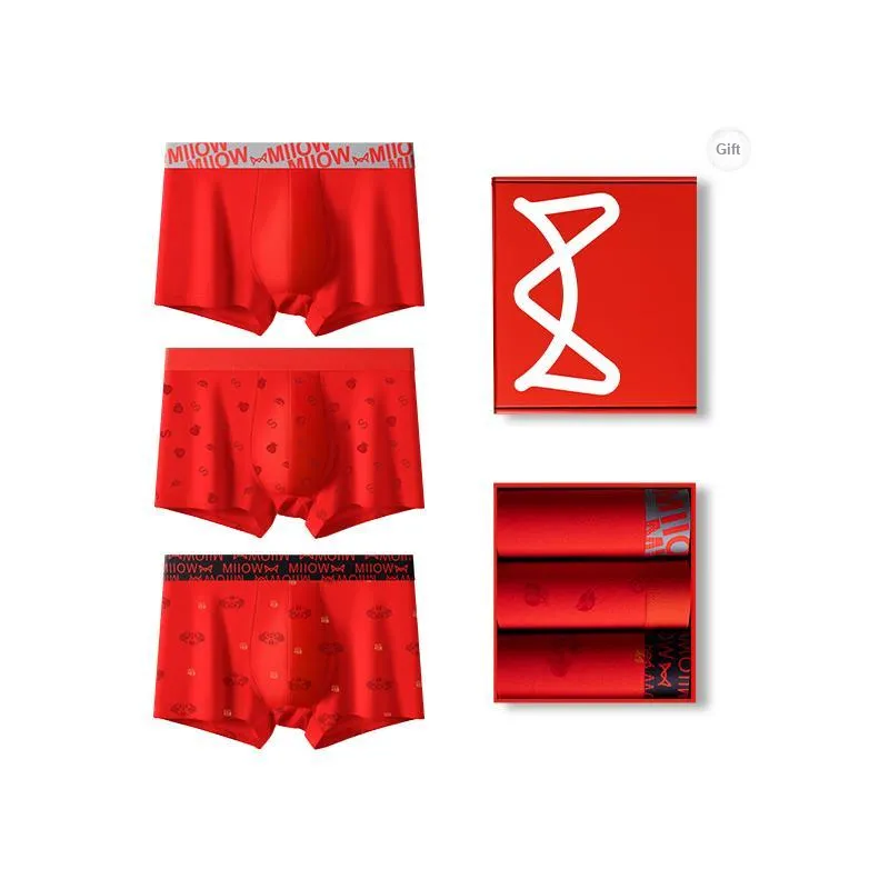 MIIOW Boxer Briefs Men's Box 3 Pack-9