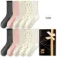 Dark Gray *2 Apricot Pink *2 Oats *2 Custard *2 Ecru *2 (10 Pack)