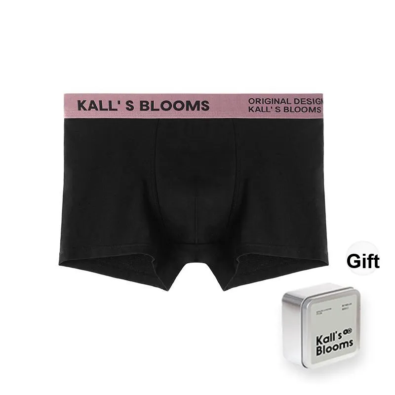 Maiden House Underwear Gift Box Men's Black