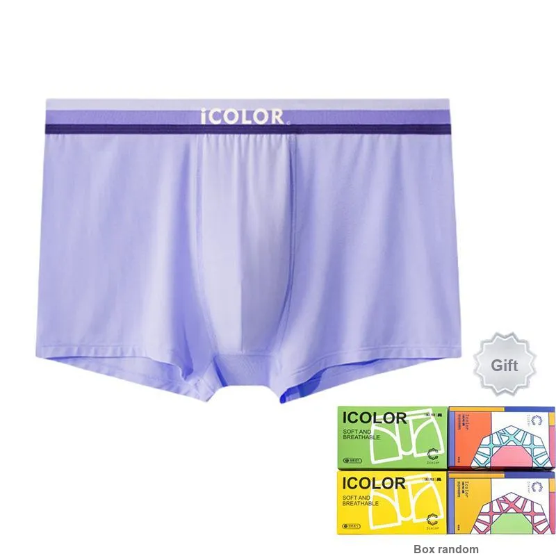 Icolor Men Underpants-1