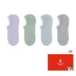 Light Purple+Light Green+Light Blue+Light Gray