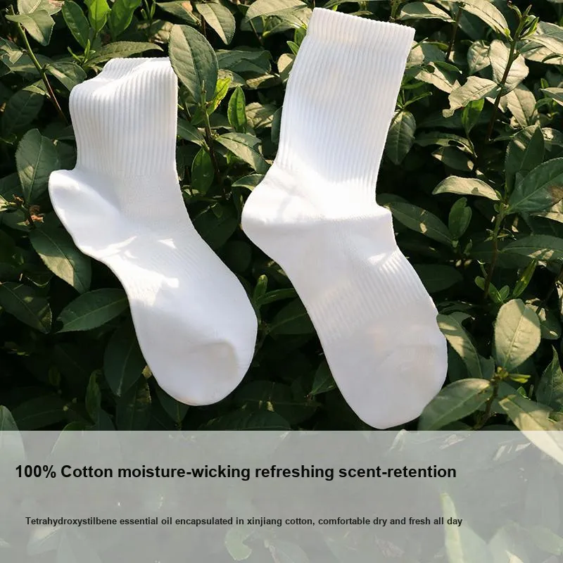 B&C.Room Mid Calf Socks Men's 5 Pack-6