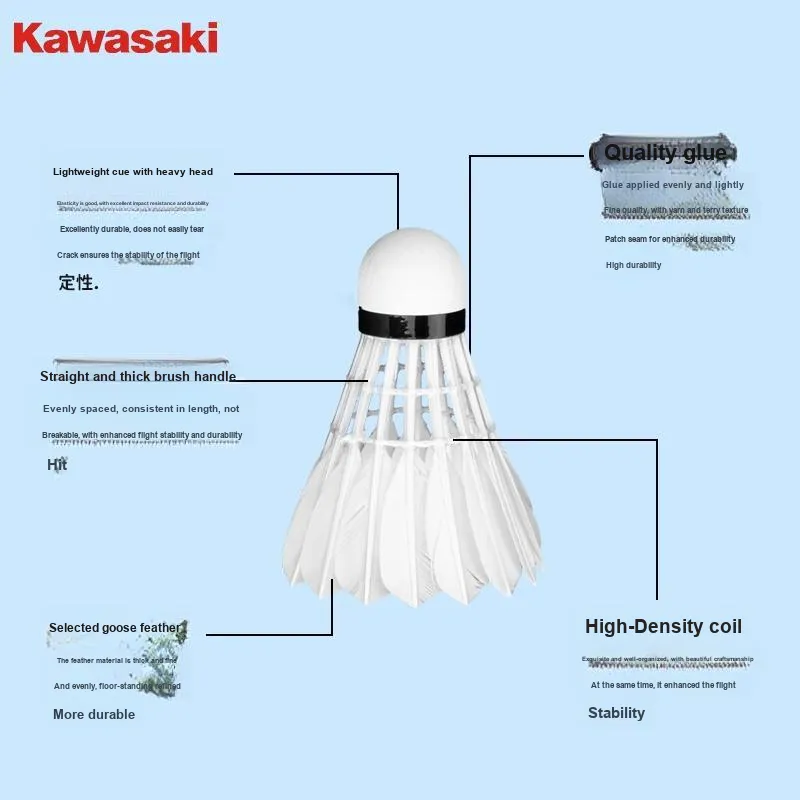 Kawasaki Shuttlecocks-2