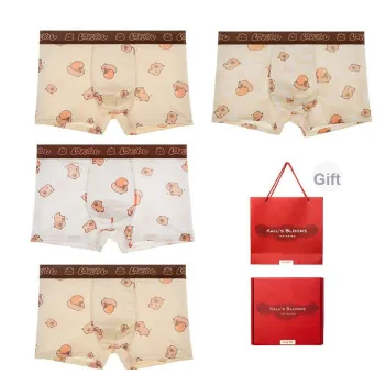 Maiden House Underwear Gift Box Men's 4 Pack