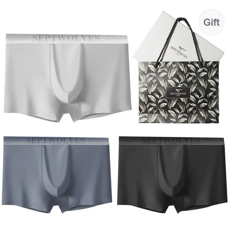 SEPTWOLVES Underwear Gift Box Men's Box 3 Pack-4