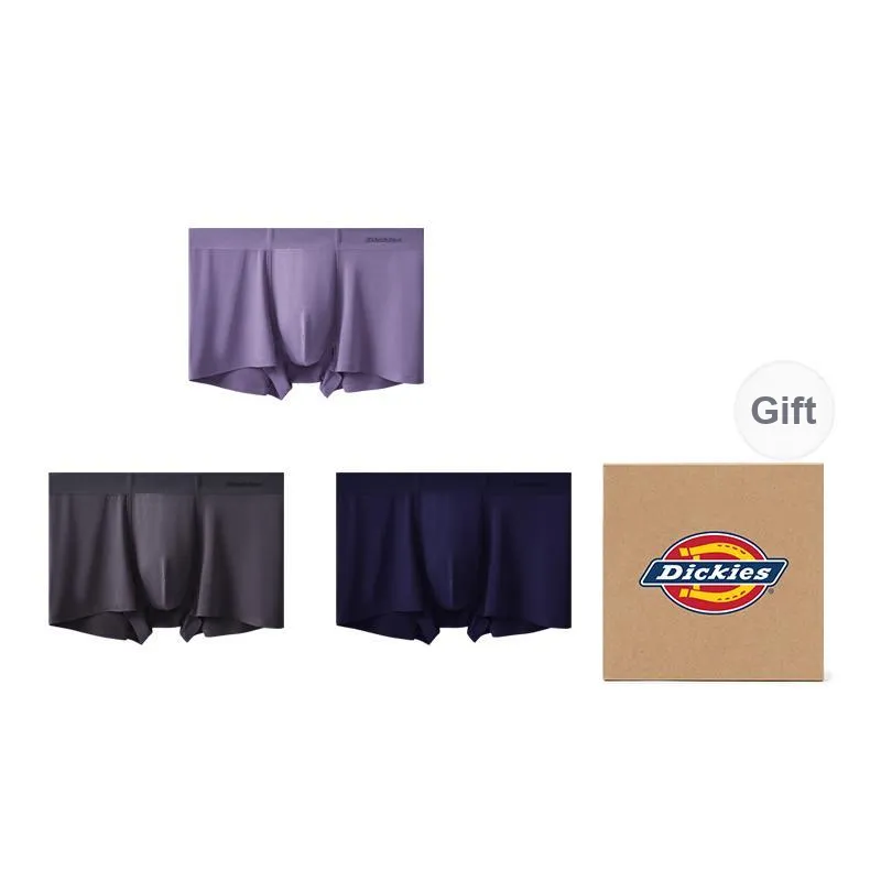 Dickies Comfortable Extra Thin Quick Dry Seamless Underpants Men's-10