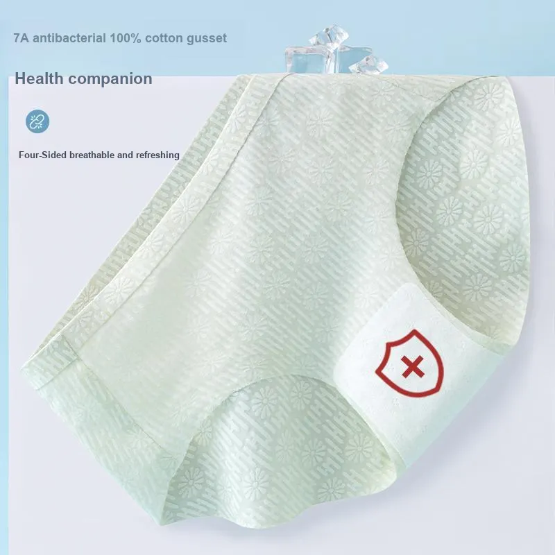 GRACEWELL Underpants Women's 3 Pack-2