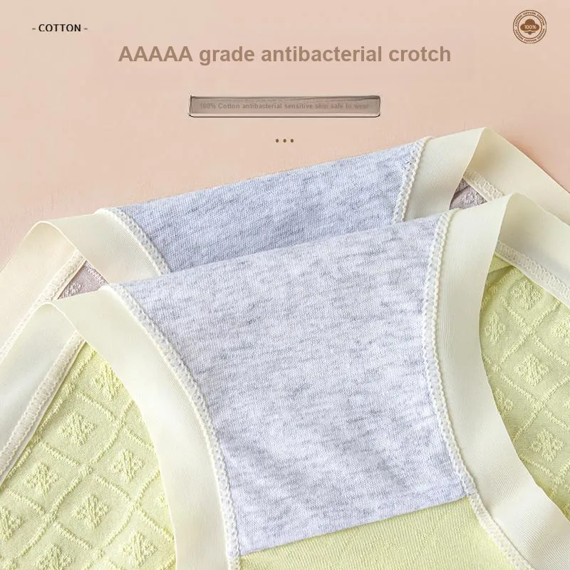 GRACEWELL Underpants Women's 3 Pack-2