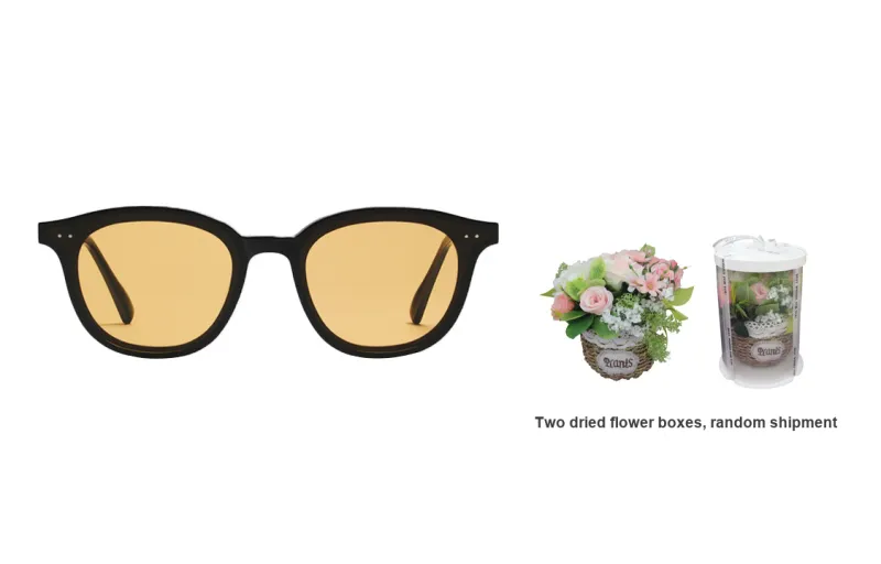 GENTLE MONSTER Lang 01 Sunglasses-6