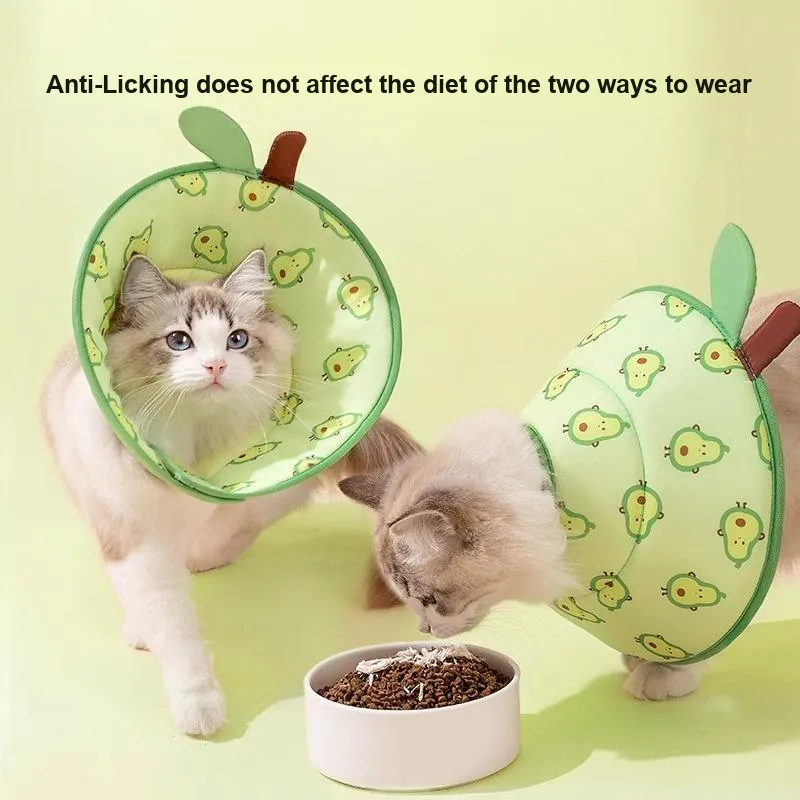 Hippie dogs Dog / Cat Collars-3