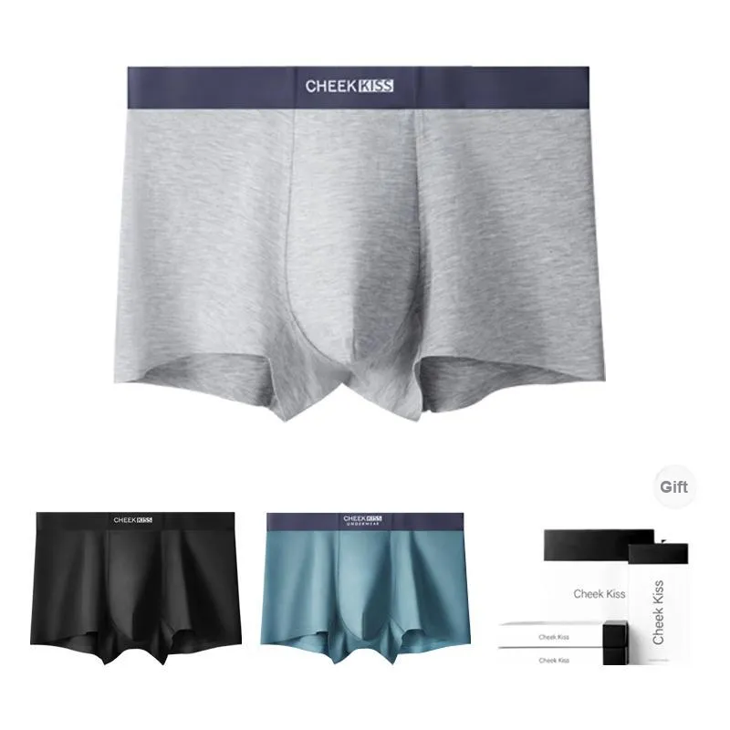 Cheekkiss Underwear Gift Boxes Men's 3 Pack-3