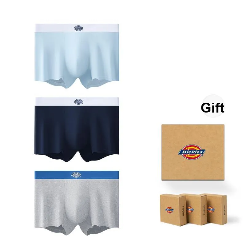 Dickies Underpants Men's Box 3 Pack-7