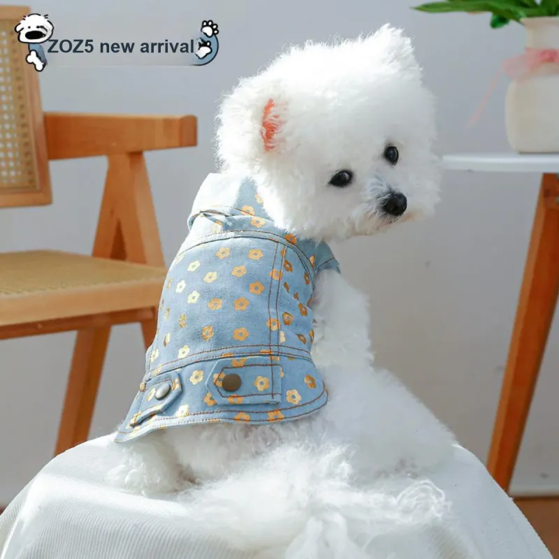 Petcircle 2025 Spring Summer Puppy Costume-1