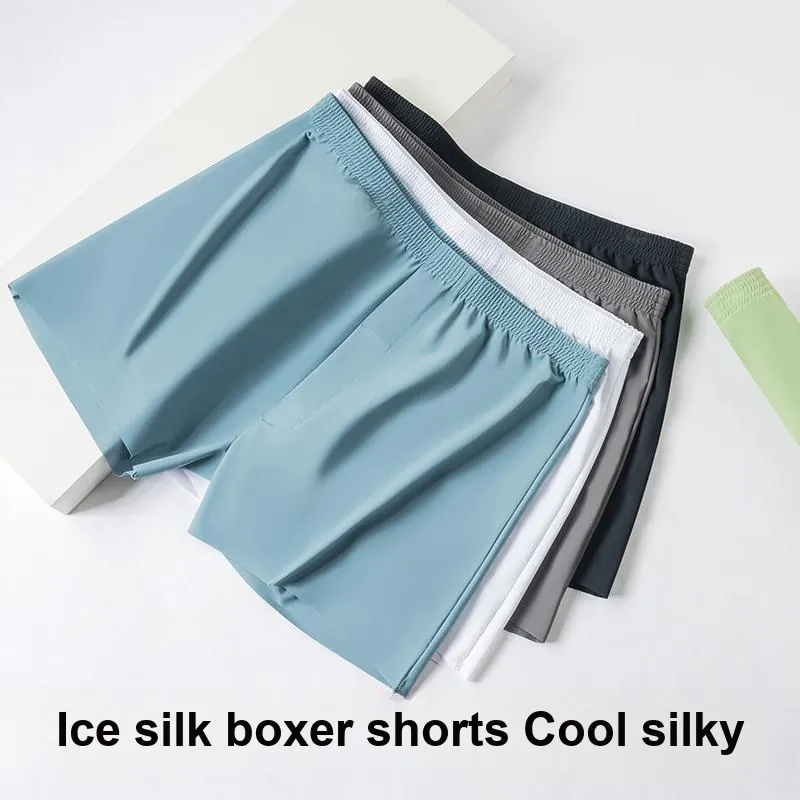 Lan Miao Underpants Men's Combo Set-1
