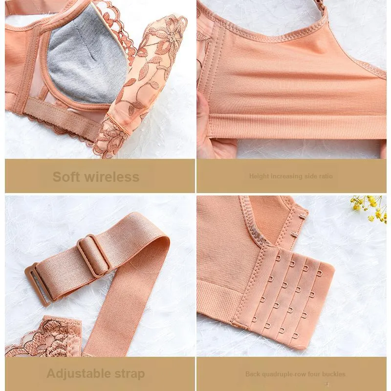 Lanza The Year Of The Dragon Series Bra Women's 1 Pack-191