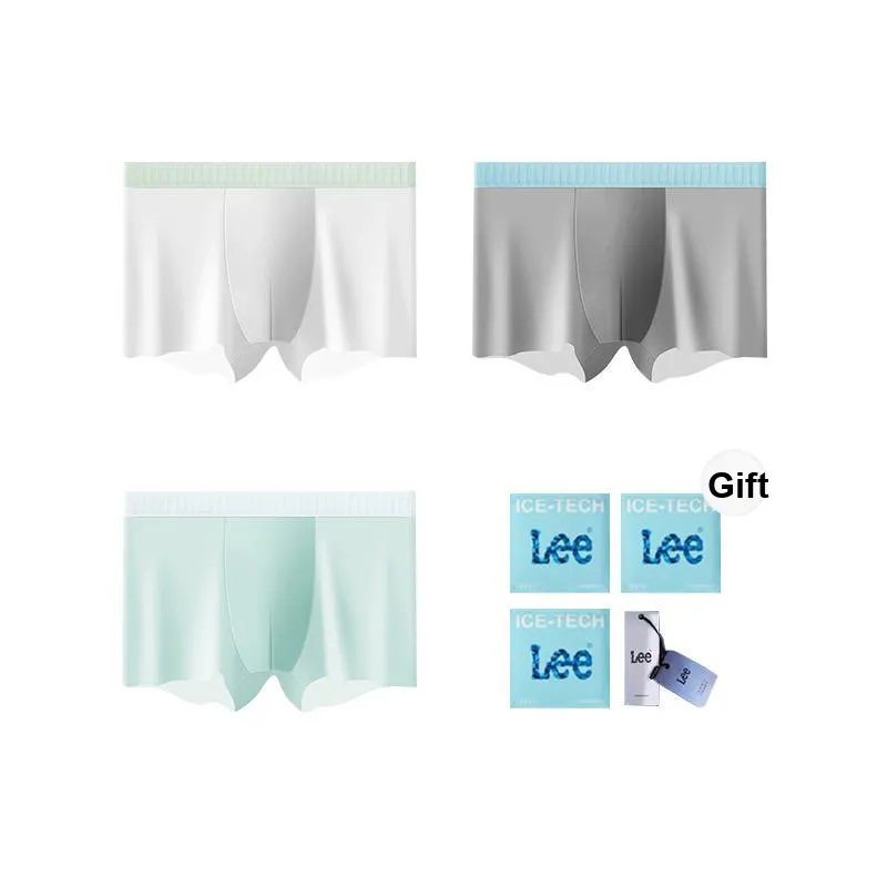 Lee Underpants Men's Box 3 Pack-4