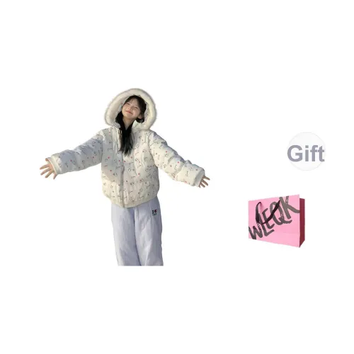 WLEQK Серый Женский пуховик