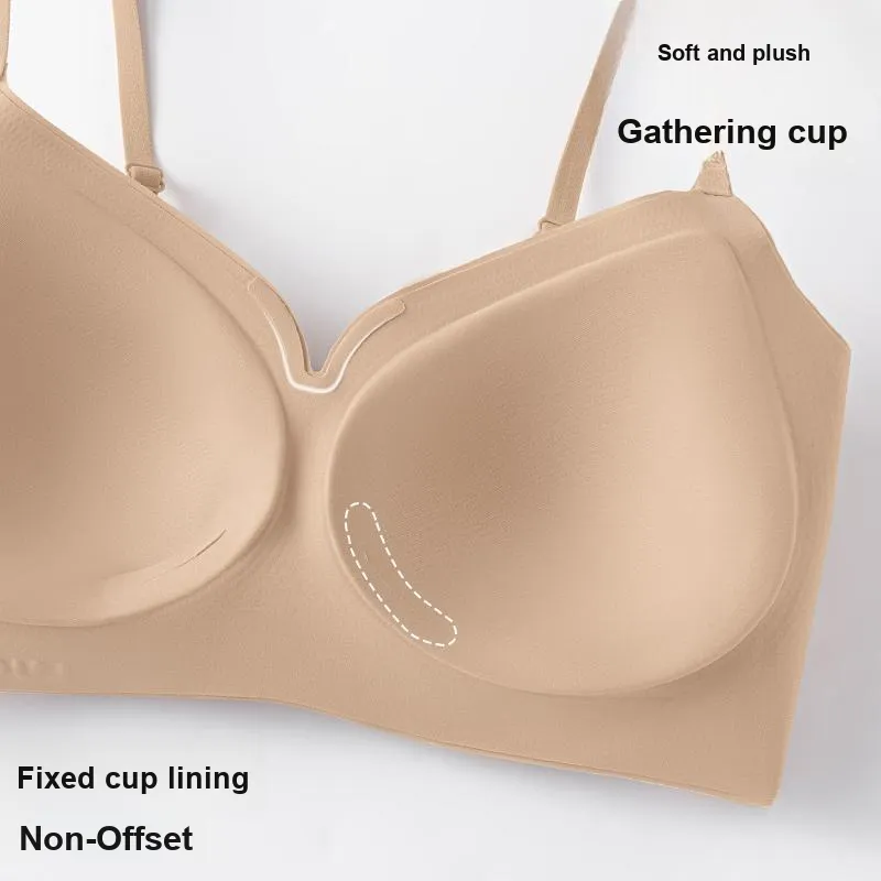 David Women's Bras-4