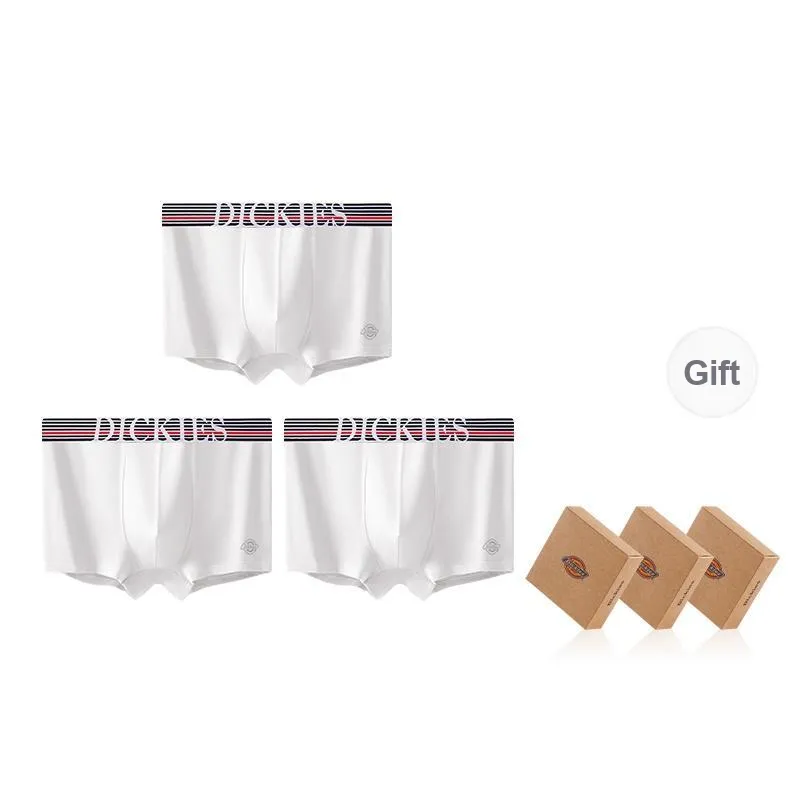 Dickies Underpants Men's Combo Set-48