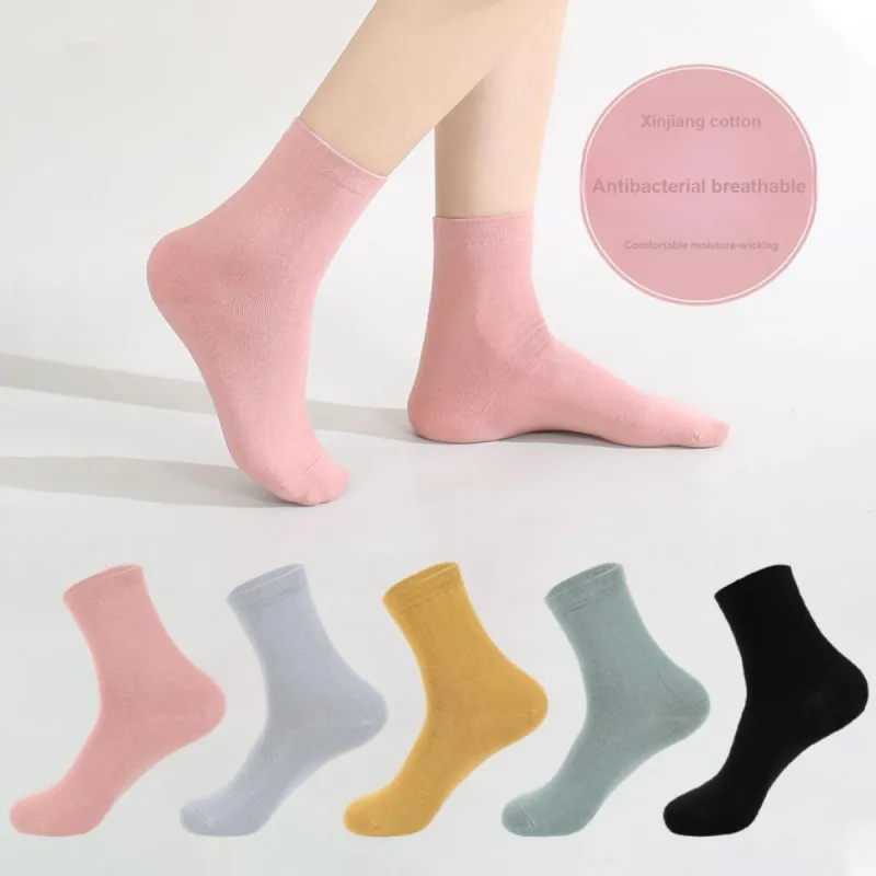 ROBINHOOD Mid Calf Socks Women's 6 Pack-2