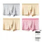 Breathable Seamless Cool Ice Silk Leopard Print[Light Gray+Light Yellow+Light Pink+Light Yellow]4 Pack