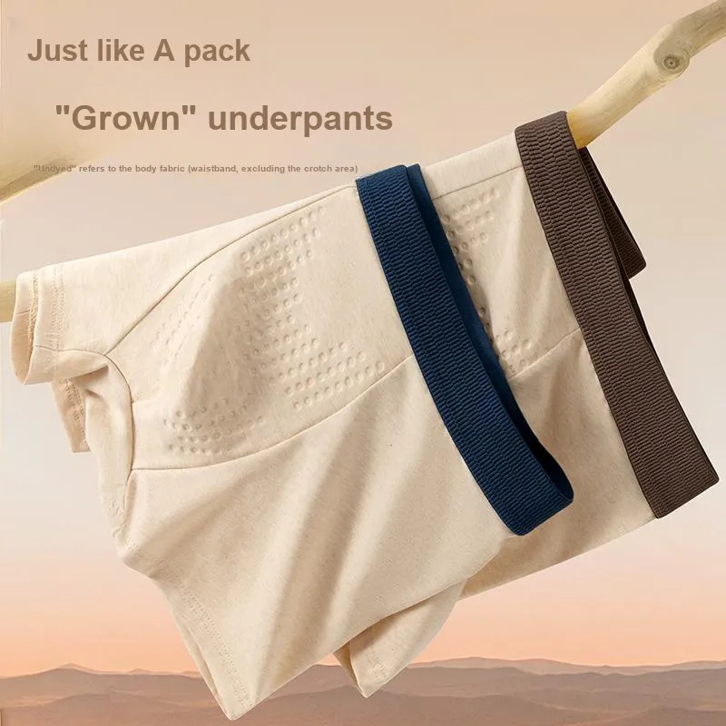 Qiao Ni Tong Underpants Men's Combo Set-1