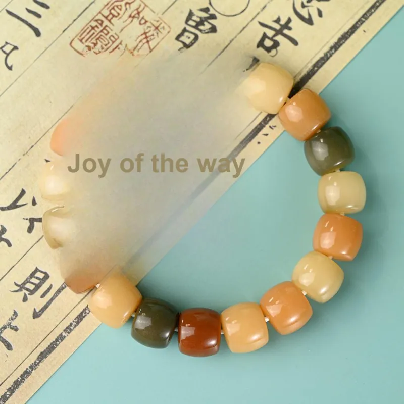 Tianzong Bodhi Seed Bracelets Unisex-2