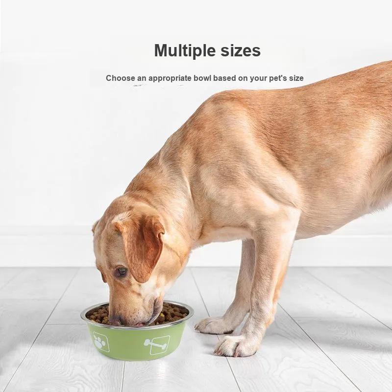 HISTOTREE Cat And Dog Bowls & Slow Feeder Bowls-2
