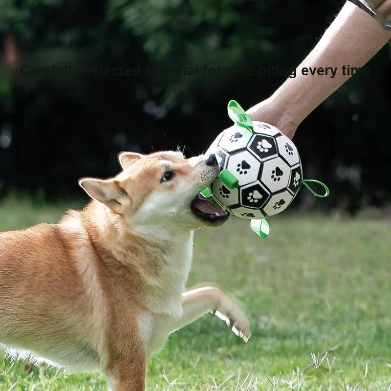 Hippie dogs Pet Toys-1