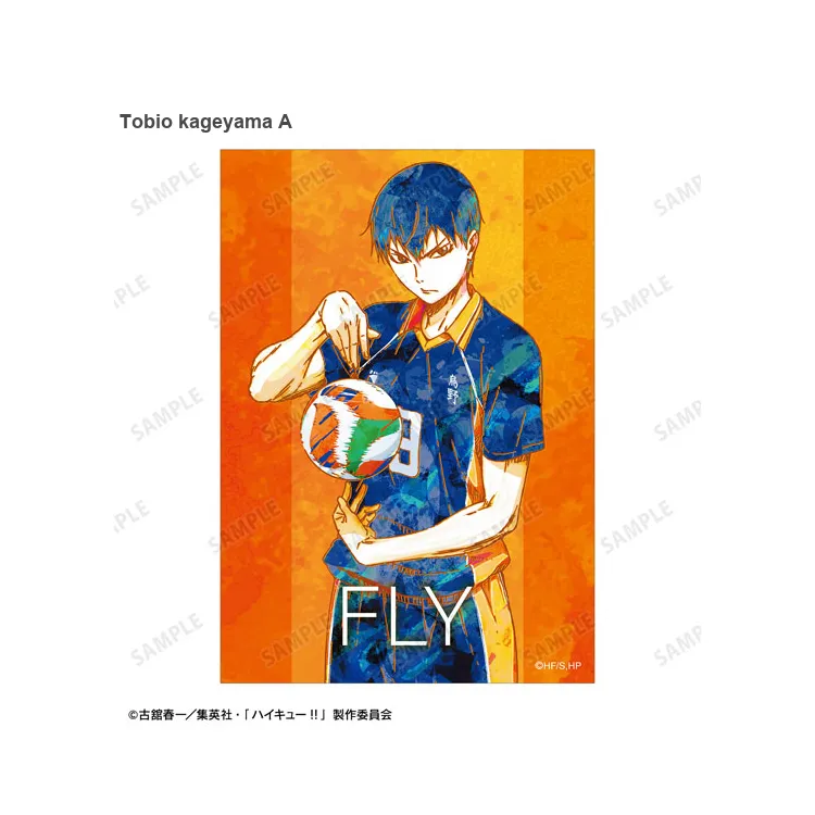 ARMA BIANCA Haikyuu!! Ani Art Second Edition Photo Cards-2