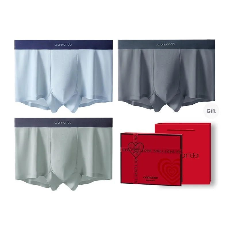 Clarkarida Underpants Men's 4 Pack-29