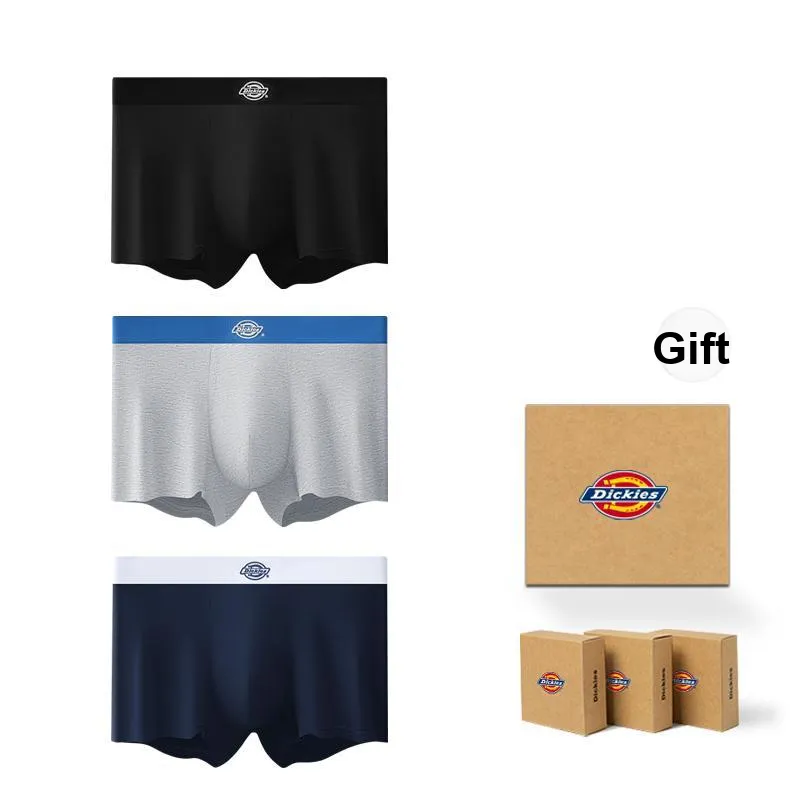Dickies Underpants Men's Box 3 Pack-0