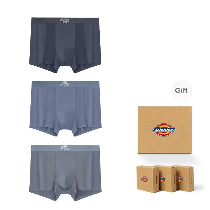 Dickies Underpants Men's Skin Friendly Minimalist Style Comfortable Modal Boxer Shorts Box Combo Set-6