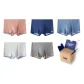 Orange+Dark Blue+Light Blue+White Gray+Light Gray (Box 5 Pack)