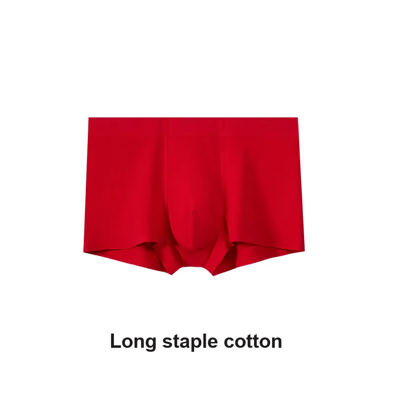 Icolor Men Underpants-1