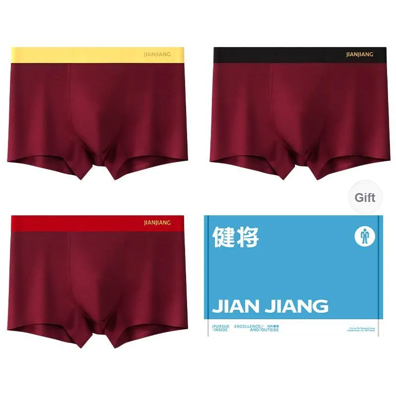 Master Underwear Gift Boxes Men's 3 Pack-0