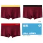 [3 Pack]Gold Burgundy+Black Burgundy+Burgundy (Red Belt)